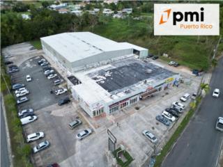 Galeria