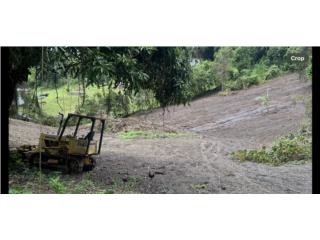 TERRENO SANTA CRUZ CAROLINA  CON 3,144 MC