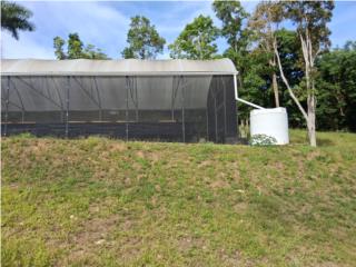 Finca7.5cuerdasAngaresmetalNuevos