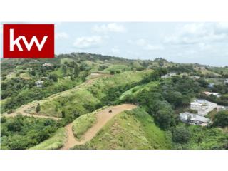 BO. QUEBRADILLAS, TERRENO EN BARRANQUITAS