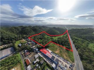 Toa Baja ~22 Acre Land Parcel