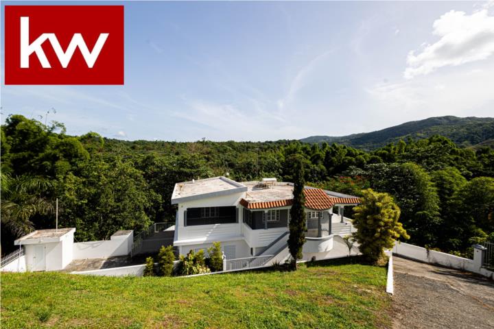 Quebrada San Lorenzo