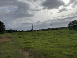 Cerca carr.100, Cabo Rojo, 6.6 cuerdas