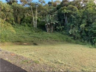 Terreno en el Bo Quebradillas Barranquitas