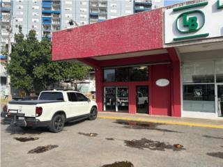 Galeria