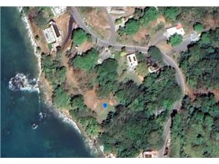 Oceanfront Lot in Rinc�n