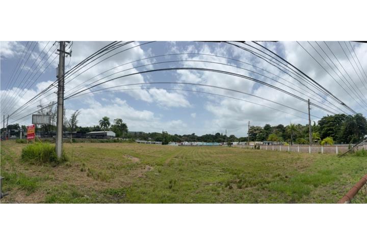 SOLAR 1.27 CUERDAS, FRENTE A CARR. #2