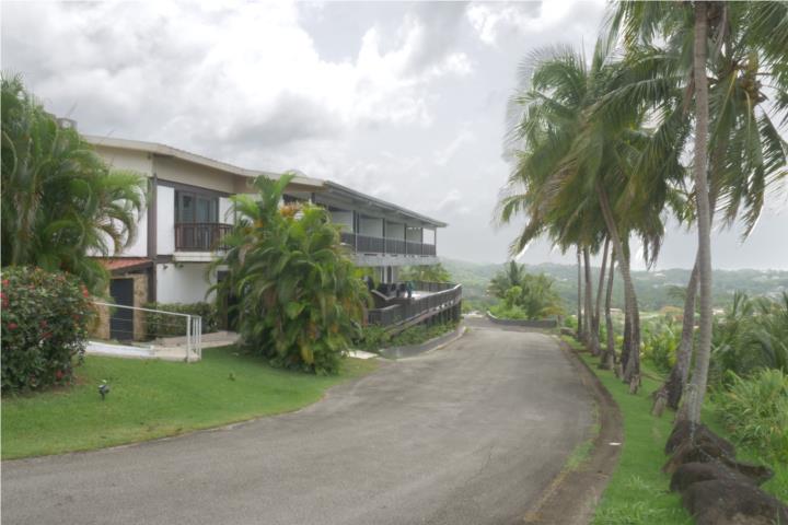 Farm in Hacienda Carabali, Luquillo
