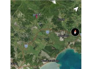 15 cuerdas Rio Blanco, Naguabo.