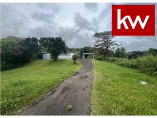 BO. CUBUY, CASAS EN CANOVANAS