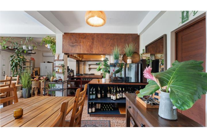 Guayabo Puerto Rico Aguada