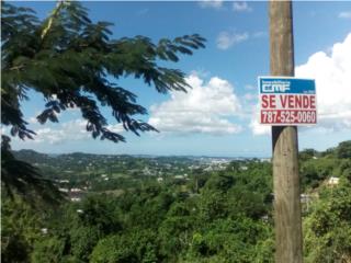Quintas de Beverly Hills Guaynabo