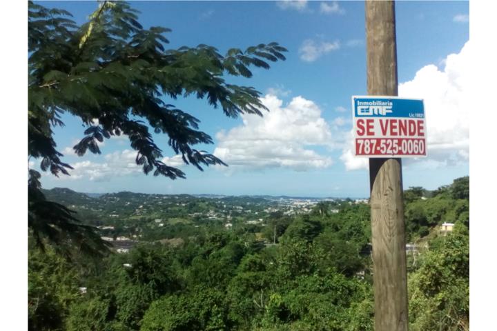 Quinta De Beverly Guaynabo