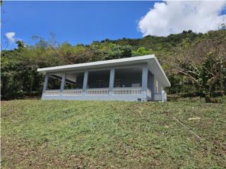 Preciosa Finca de 75 cuerdas en Morovis!