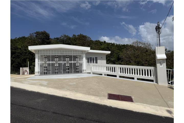 Bo. Franquez Morovis