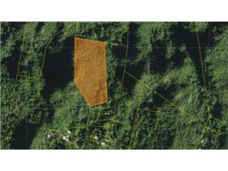 Terreno de 7.99 cdas w/potencial ecoturstico