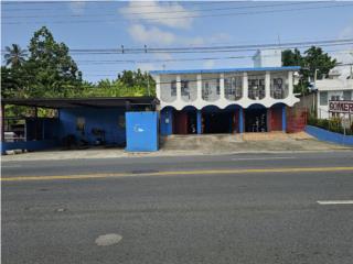 Galeria