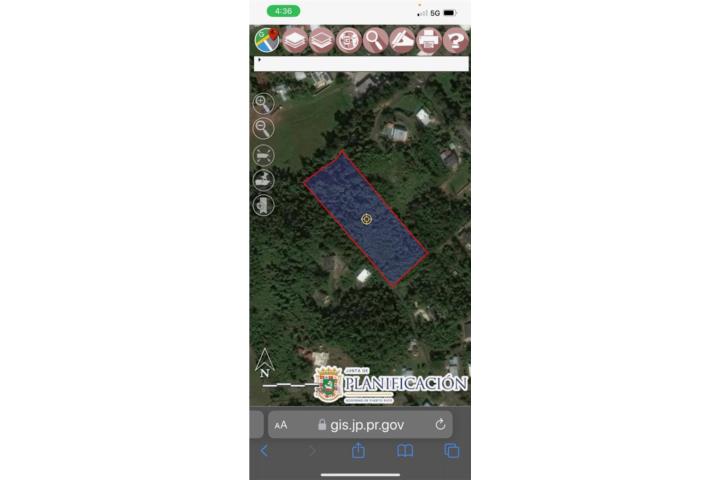 Bajunas Puerto Rico Vega Alta