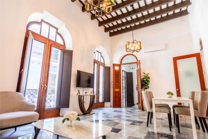 Viejo San Juan -Zona San Juan - Viejo SJ