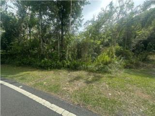 �Solar en Venta en Bo. R�o Arriba, Manati!