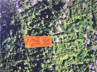 Terreno inclinado 1.6 cuerdas en Carolina