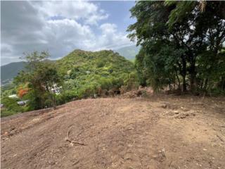 Solar: 2 Cuerdas / 7860.8mc Lajitas, Guayabal