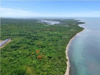 Lote en Vieques