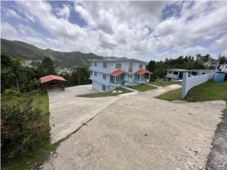 Se Vende Casa 3 Niveles Botijas #1 Orocovis