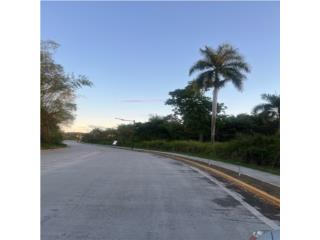 Finca Dacion Yauco, PR Venta $3,000,000