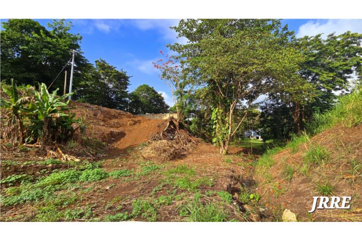 Nuevo terreno en el Sector Vergara del Bo.
