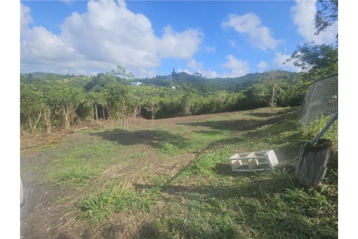 Solar de 9,000 metros aproximadamente en lugar tranquilo y calle sin salida.