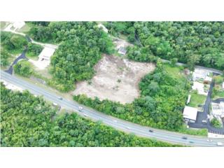 Terreno Cercano a la Carvenas de Camuy
