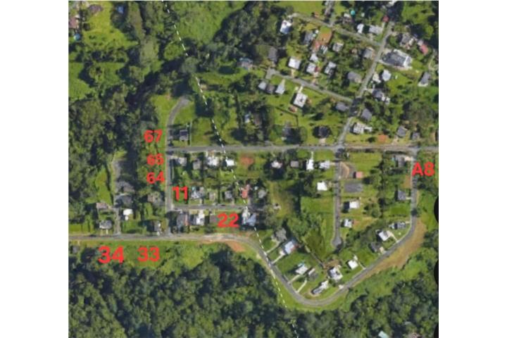 Palmarejo Puerto Rico Corozal