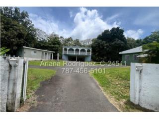 3 casas 3,729.34 m en Juncos a min. de la Carr. 30