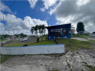 Galeria