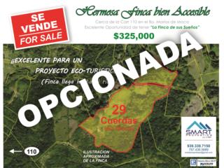 HERMOSA FINCA APROX 29 CDAS. BIEN ACCESIBLE A 110