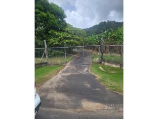 Finca de 12 cuerdas llana Bo limones Yabucoa 