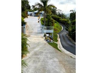 Bo. Hayales, Coamo