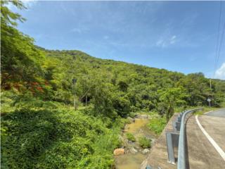 Cayey Land ~173 Acre