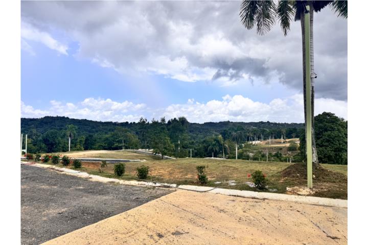Haciendas de Rio Lajas Puerto Rico