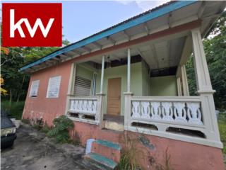 BO. MONTE GRANDE, CASA EN CABO ROJO