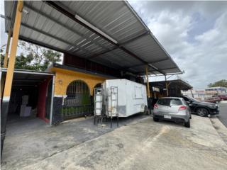 Galeria