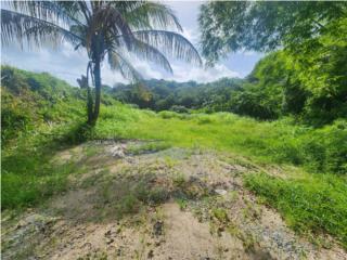 Predio de terreno en el Bo. Las Palmas Utuado