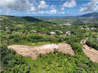 Solar #5 Bo. J�canas, Yabucoa