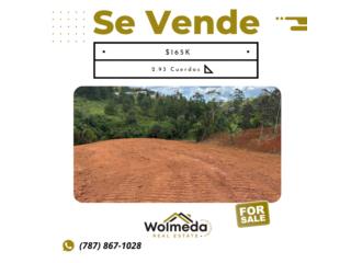 Hermosa Finca - Bo. Sabana, Orocovis