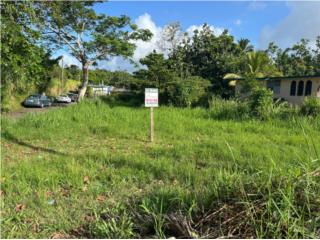 Lirios - Solar -  325m2  $65,000