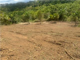PRECIOSA FINCA 