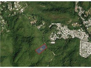5.51 cuerdas Bo.Canas Ponce