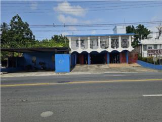 Galeria