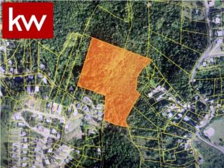 BO. RINC�N, TERRENO EN CAYEY
